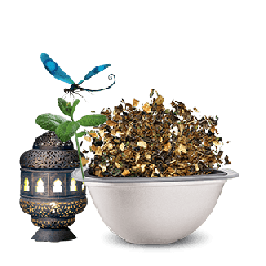 Mint Marrakech Style