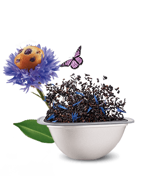 Avis de notre expert