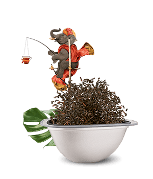 Avis de notre expert