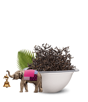 Avis de notre expert