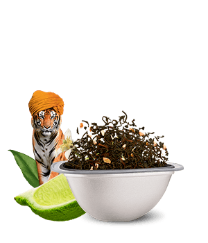 Avis de notre expert