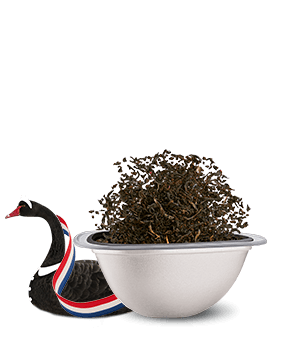 Avis de notre expert