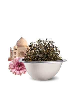 Avis de notre expert