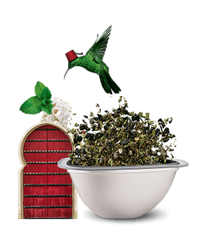 Avis de notre expert