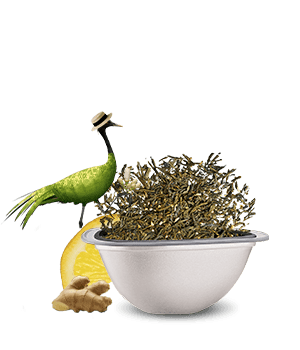 Avis de notre expert