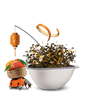 Avis de notre expert