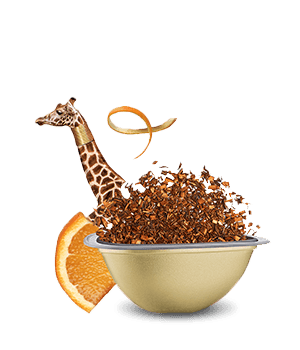 Avis de notre expert