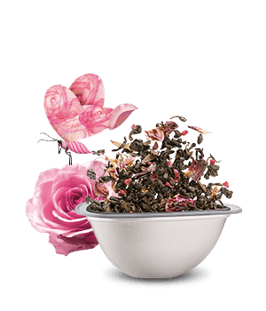 Avis de notre expert