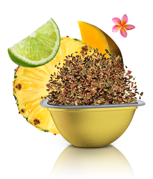 Avis de notre expert