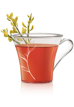 ROOIBOS