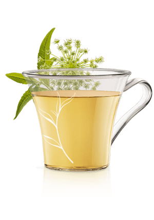 INFUSIONS